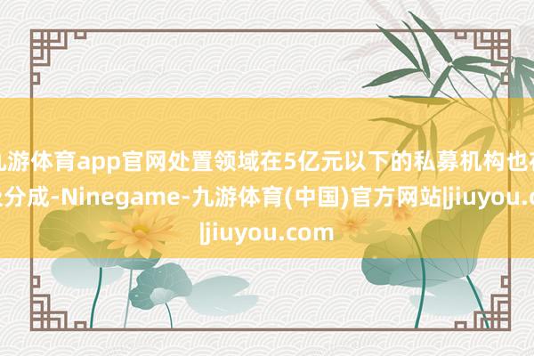 九游体育app官网处置领域在5亿元以下的私募机构也在积极分成-Ninegame-九游体育(中国)官方网站|jiuyou.com