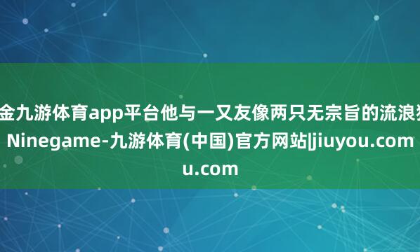现金九游体育app平台他与一又友像两只无宗旨的流浪猫-Ninegame-九游体育(中国)官方网站|jiuyou.com